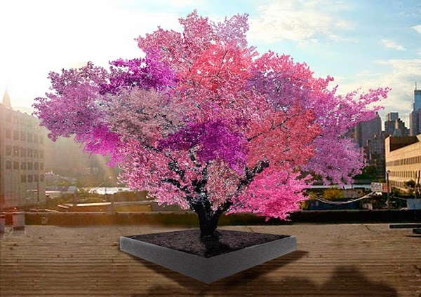 Παράξενο δέντρο παράγει 40 διαφορετικά φρούτα! [photos] - Φωτογραφία 1