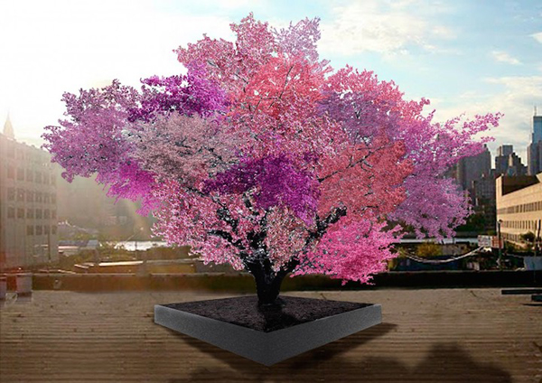 Παράξενο δέντρο παράγει 40 διαφορετικά φρούτα! [photos] - Φωτογραφία 2