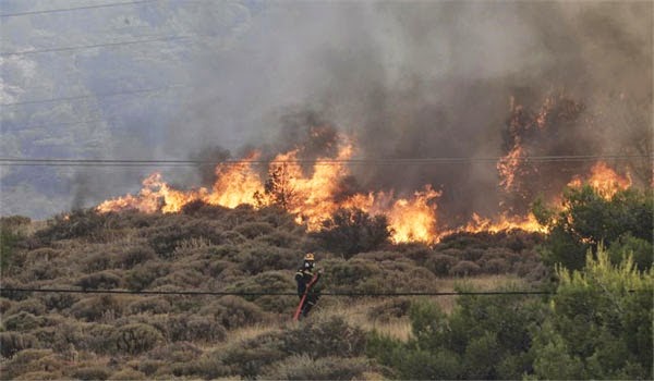 Πάτρα: Πυρκαγιά στο έλος της Αγυιάς - Πως προκλήθηκε - Φωτογραφία 1