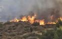Πάτρα: Πυρκαγιά στο έλος της Αγυιάς - Πως προκλήθηκε