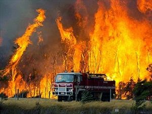 Πολύ υψηλός κίνδυνος πυρκαγιάς την Πέμπτη - Φωτογραφία 1