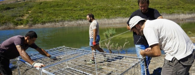 Στήνουν νέες παγίδες για τον… άπιαστο Σήφη! [photos] - Φωτογραφία 2