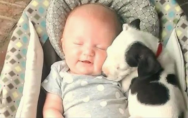 Ένα μωρό κι ένα κουτάβι είναι οι καλύτεροι φίλοι του κόσμου [video] - Φωτογραφία 1