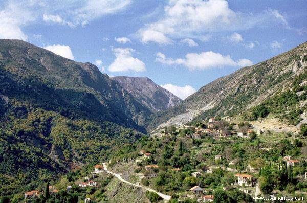 Σπείρα Αλβανών λεηλατούσε τα βότανα στα βουνά της Θεσπρωτίας, και τα πουλούσε - Φωτογραφία 1