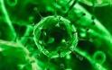 Δοκιμές πειραματικού εμβολίου κατά του ιού Έμπολα σε ανθρώπους από τον Σεπτέμβριο