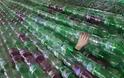 ΑΠΙΣΤΕΥΤΟ: Σκάφος από 50.000 πλαστικά μπουκαλάκια! [photo] - Φωτογραφία 2