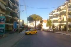 Πάτρα: Με κόβουν, βοήθεια! - Η ανακοίνωση που τοιχοκόλλησαν στο δέντρο της Αρόης