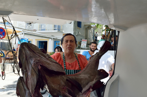 Πελώριοι βλάχοι 25 και 17 κιλών σε παραγάδι στην Αλόννησο! [photos] - Φωτογραφία 4