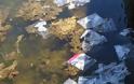 Αιτωλικό: Γέμισε η θάλασσα από σκουπίδια της λαϊκής