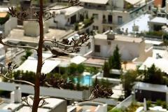 To οικοδομικό τετράγωνο στο κέντρο της Αθήνας με τις 7 πισίνες στις ταράτσες
