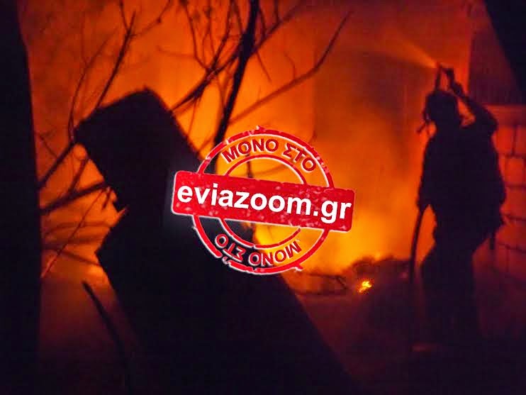Απειλήθηκαν σπίτια από φωτιά που ξέσπασε σε αποθήκη στη Χαλκίδα! [photos + video] - Φωτογραφία 3