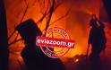 Απειλήθηκαν σπίτια από φωτιά που ξέσπασε σε αποθήκη στη Χαλκίδα! [photos + video] - Φωτογραφία 3