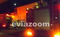 Απειλήθηκαν σπίτια από φωτιά που ξέσπασε σε αποθήκη στη Χαλκίδα! [photos + video] - Φωτογραφία 4