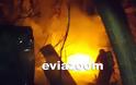 Απειλήθηκαν σπίτια από φωτιά που ξέσπασε σε αποθήκη στη Χαλκίδα! [photos + video] - Φωτογραφία 6