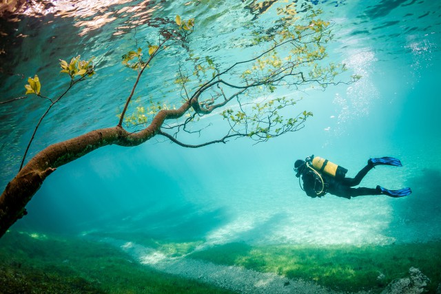 Ενα απο τα βραβεια του διαγωνισμου του National Geographic - Φωτογραφία 4