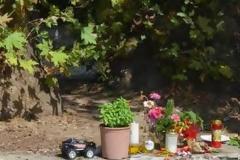 Αυτοψία από ειδικούς στα πλατάνια των Κομποτάδων Λαμίας, που χάθηκε ο μικρός Μπάμπης - Τι είπε ο καθηγητής του ΕΘΙΑΓΕ [video]