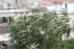 Φωτογραφίες από την κακοκαιρία στην Εύβοια!