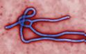 Λήξη συναγερμού! Ελονοσία τα ύποπτα κρούσματα Έμπολα στην Ελλάδα