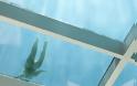 Εντυπωσιακή «διάφανη» πισίνα στην οροφή! [photos] - Φωτογραφία 5