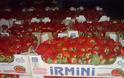 Το ρωσικό εμπάργκο καταστρέφει την παραγωγή φράουλας στην Ηλεία