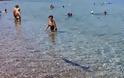 Αιγιάλεια: Εμφανίστηκε ξιφίας στην Αλυκή - Έτρεχαν να βγουν απο τη θάλασσα οι λουόμενοι - Δείτε φωτο