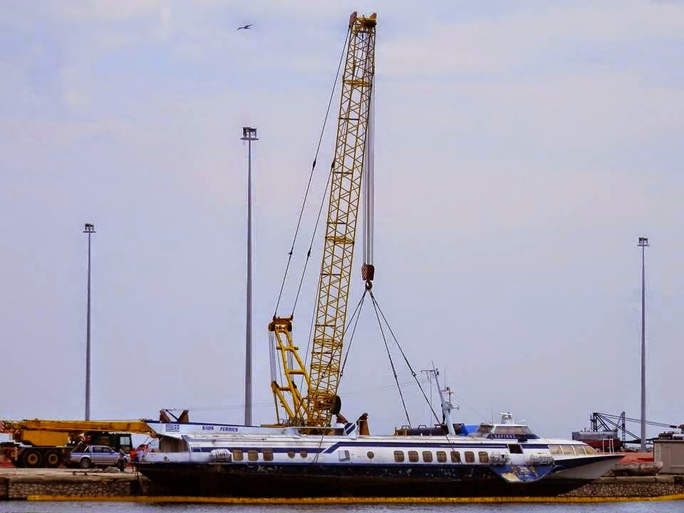 Το δελφίνι «βγήκε» από το λιμάνι της Αλεξανδρούπολης… [photos] - Φωτογραφία 1