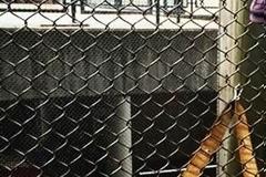 Συγκινητικές οι τελευταίες φωτός που πόσταρε ο Ρόμπιν Γουίλιαμς...