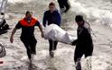 ΣΟΚ: Δέκα άνθρωποι πνίγηκαν στις ελληνικές θάλασσες σε ένα 24ωρο!
