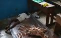 Συνεχίζει να σκοτώνει ο ιός Έμπολα: Στους 1.145 οι νεκροί... Συγκλονιστικές φωτογραφίες από ασθενείς! [photos] - Φωτογραφία 1