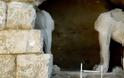 Δύο τοίχοι χωρίζουν τους αρχαιολόγους από το μεγάλο μυστικό της Αμφίπολης