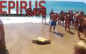 Μια ακόμη νεκρή χελώνα Καρέτα-Καρέτα,εντόπισαν οι λουόμενοι στην παραλία Μονολιθίου! - Φωτογραφία 4