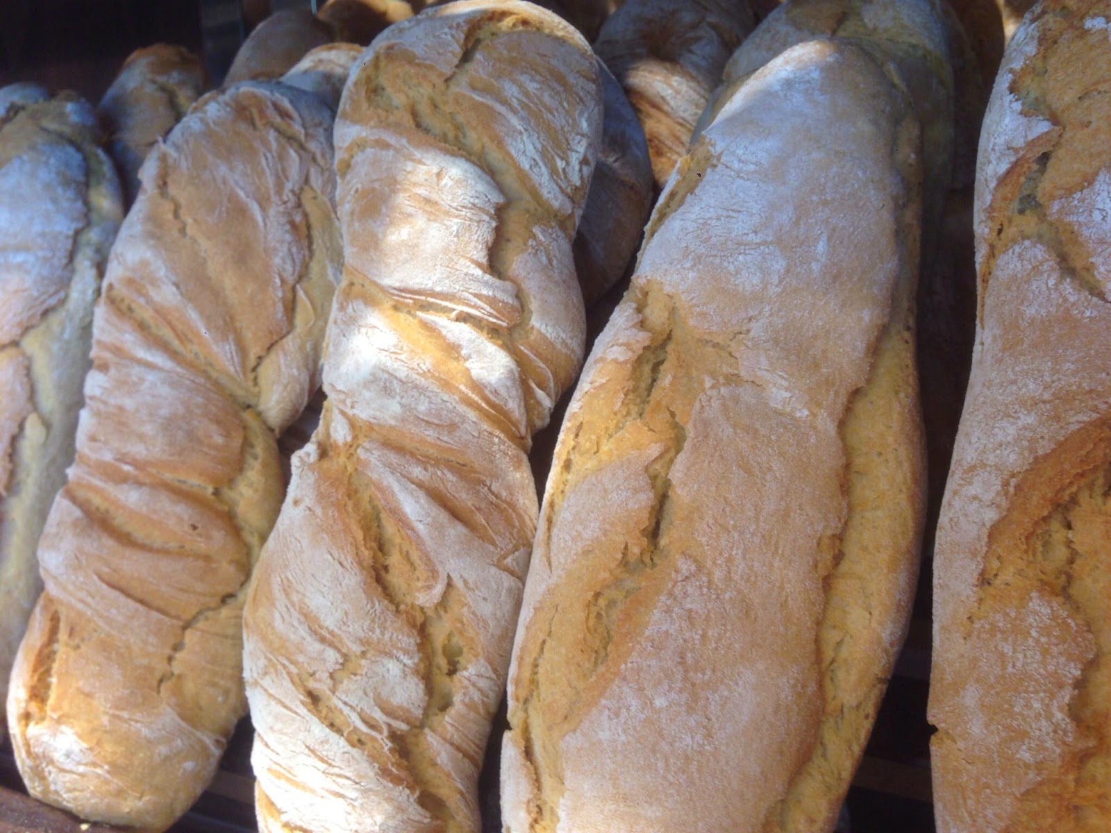 ΑΥΤΟΣ είναι το πιο ιδιαίτερο ψωμί της Αττικής που το τιμούν καθημερινά όλοι οι Αθηναίοι! [photos] - Φωτογραφία 2