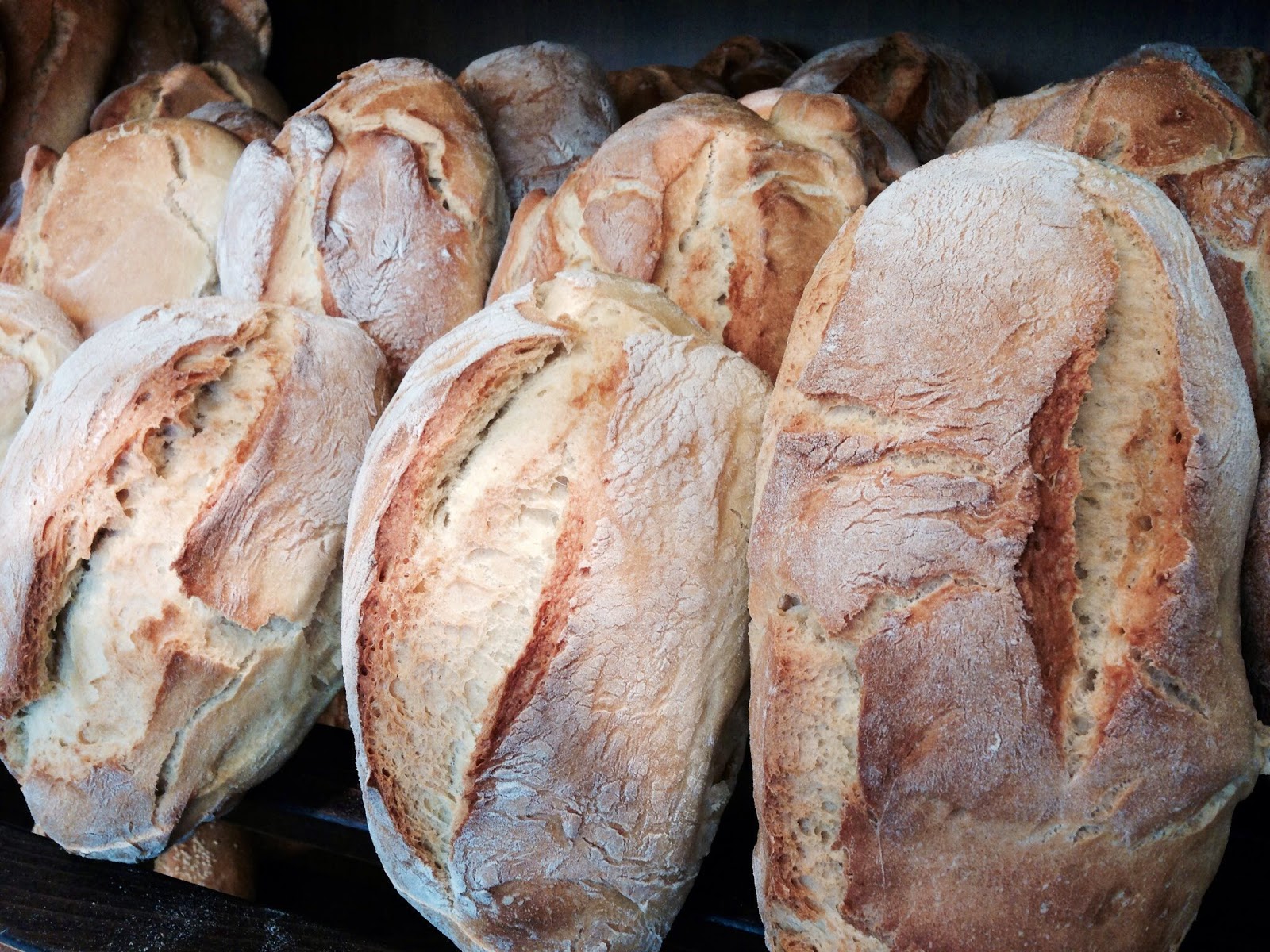 ΑΥΤΟΣ είναι το πιο ιδιαίτερο ψωμί της Αττικής που το τιμούν καθημερινά όλοι οι Αθηναίοι! [photos] - Φωτογραφία 3