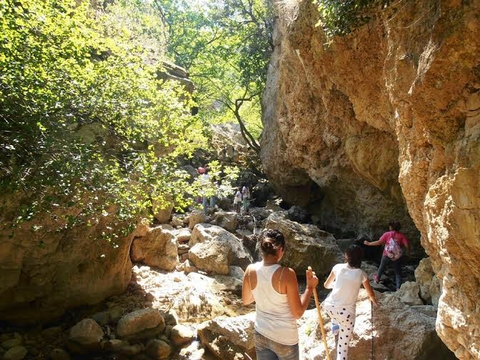 Ολοκληρώθηκαν οι εκδηλώσεις της Γιορτής του Δάσους στην Καστάνιτσα Αρκαδίας με την συμμετοχή του Φορέα Διαχείρισης Όρους Πάρνωνα & Υγροτόπου Μουστού - Φωτογραφία 6