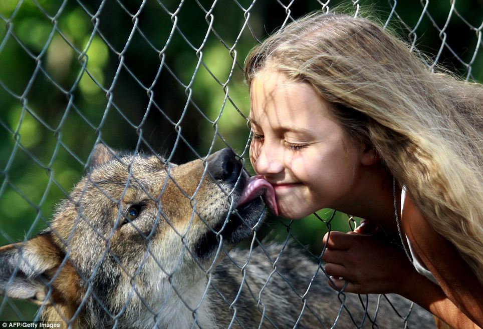 Δείτε τη 10χρονη που λατρεύουν οι… λύκοι! [photos] - Φωτογραφία 5