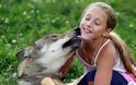 Δείτε τη 10χρονη που λατρεύουν οι… λύκοι! [photos] - Φωτογραφία 3