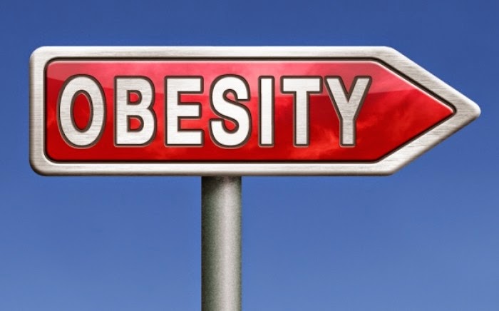 Παχυσαρκία: Οι καταστροφικές της συνέπειες για την υγεία μας... - Φωτογραφία 1