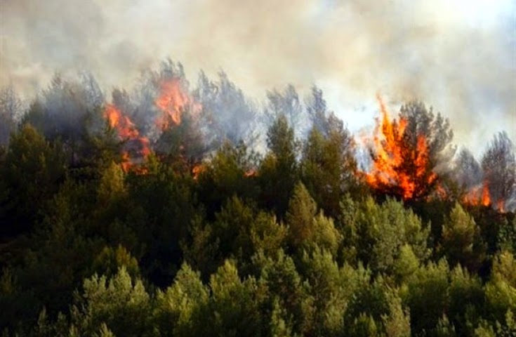 Υπό έλεγχο η φωτιά στο Μουρίκι Καλαβρύτων - Έγιναν στάχτη 150 στρέμματα - Φωτογραφία 1
