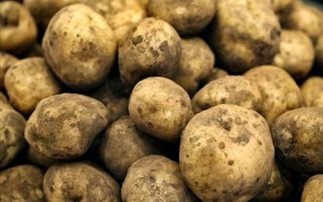 Οι ευεργετικές ιδιότητες της πατάτας - Φωτογραφία 1