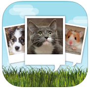 My Talking Pet: AppStore free today...Κάνετε το κατοικίδιο σας να μιλάει ανθρώπινα - Φωτογραφία 1