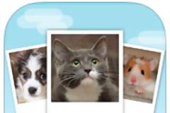 My Talking Pet: AppStore free today...Κάνετε το κατοικίδιο σας να μιλάει ανθρώπινα