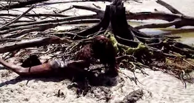 Νεκρή γοργόνα καταγράφεται από θαλάσσιο βιολόγο…Πανικός στο youtube με το βίντεο! - Φωτογραφία 1