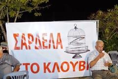 Σαρδέλα στο… κλουβί, Σαρδέλα... Ερωτική - Η μεγάλη γιορτή στην Πρέβεζα εδώ και 50 χρόνια