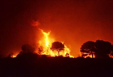 Μεγάλη φωτιά κοντά στην αρχαία Μεσσήνη - Εκκενώθηκαν 4 οικισμοί - Φωτογραφία 1