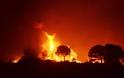 Μεγάλη φωτιά κοντά στην αρχαία Μεσσήνη - Εκκενώθηκαν 4 οικισμοί