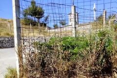 Αλβανοί νοσταλγοί του Χιτλερ... Προσπάθησαν να κάψουν την Μονή της Κοιμήσεως της Θεοτόκου και το Μνημείο των Ελλήνων Πεσόντων του ’40 στην Μπομποστίτσα Κορυτσάς...