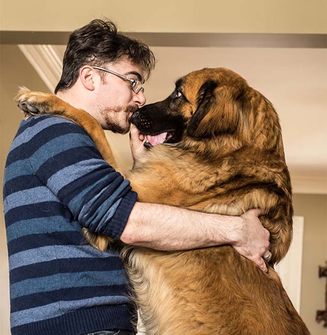 Δείτε τις πραγματικά συγκινητικές φωτογραφίες σκύλων που αγκαλιάζουν τον άνθρωπο τους... [photos] - Φωτογραφία 12