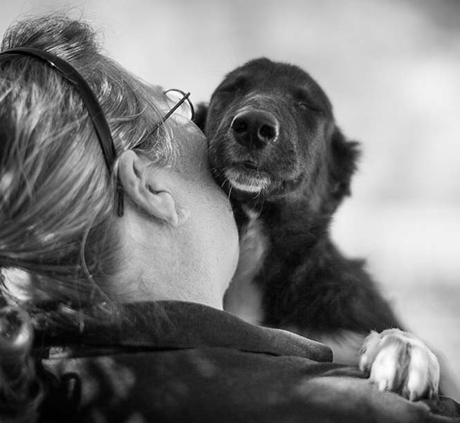 Δείτε τις πραγματικά συγκινητικές φωτογραφίες σκύλων που αγκαλιάζουν τον άνθρωπο τους... [photos] - Φωτογραφία 13