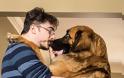 Δείτε τις πραγματικά συγκινητικές φωτογραφίες σκύλων που αγκαλιάζουν τον άνθρωπο τους... [photos] - Φωτογραφία 12