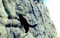 Γάτα… άριστος ορειβάτης! [photos] - Φωτογραφία 1